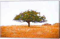 Framed Lone Tree