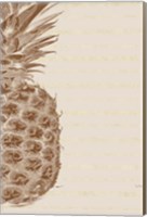 Framed Left Side Pineapple
