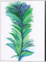 Framed Blue Feather II