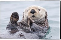 Framed Yesterday I Caught A Fish This Big! - Otter, Alaska