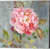 Framed 'Peonies and Paisley II' border=