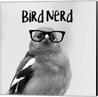 Framed 'Bird Nerd - Chaffinch' border=