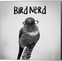 Framed 'Bird Nerd - Hummingbird' border=
