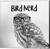 Framed 'Bird Nerd - Owl' border=