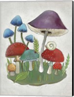 Framed Mushroom Collection II