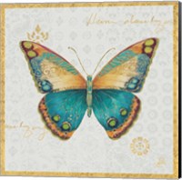 Framed 'Bohemian Wings Butterfly II' border=