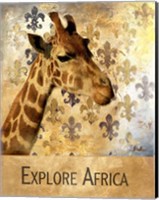 Framed Explore Africa