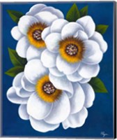 Framed White Flowers on Blue II