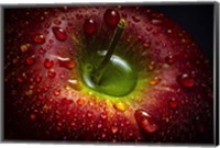 Framed Red Apple