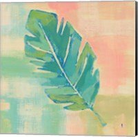 Framed 'Beach Cove Leaves III' border=