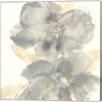 Framed Floral Gray II