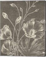 Framed Botanical Beauty Chalk IX Crop
