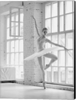 Framed Ballerina Rehearsing