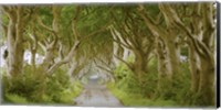 Framed Dark Hedges, Ireland