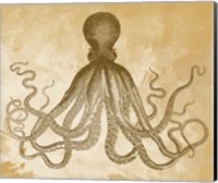 Framed Golden Octopus