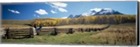 Framed View of the Last Dollar Ranch, Mount Sneffels, Colorado