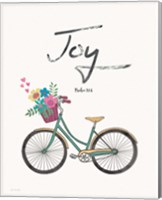 Framed Joy (bike)