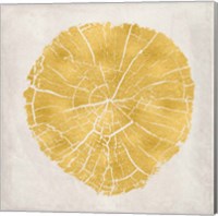 Framed Tree Stump Golden IV