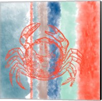 Framed 'Crab Stripes' border=