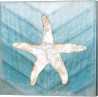 Framed 'Coastal Starfish' border=