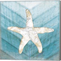 Framed 'Coastal Starfish' border=