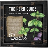 Framed Herb Guide Basil