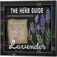 Framed 'Herb Guide Lavender' border=