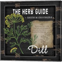 Framed Herb Guide Dill