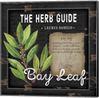 Framed 'Herb Guide Bay Leaf' border=