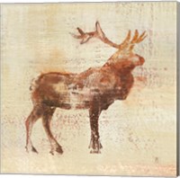 Framed 'Elk Study v2' border=