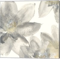Framed 'Gray and Silver Flowers I' border=