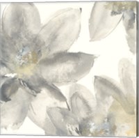 Framed Gray and Silver Flowers I