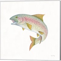 Framed 'Gone Fishin Rainbow' border=