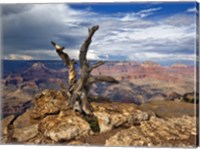 Framed Canyon View V