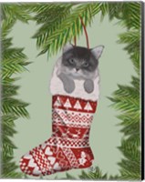 Framed Grey Kitten in Christmas Stocking