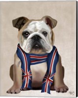 Framed English Bulldog with Scarf