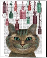 Framed Cheshire Cat and Bottles