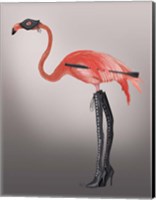 Framed Flamingo with Kinky Boots