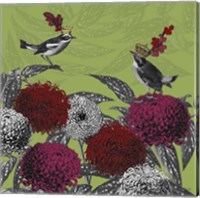 Framed 'Blooming Birds, Chrysanthemum 1' border=