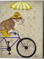 Framed English Bulldog on Bicycle