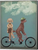 Framed Poodle Tandem