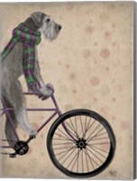 Framed Schnauzer on Bicycle, Grey