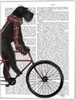 Framed Schnauzer on Bicycle, Black