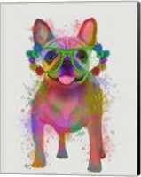 Framed Rainbow Splash French Bulldog, Full