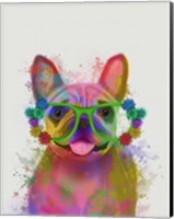 Framed Rainbow Splash French Bulldog, Portrait