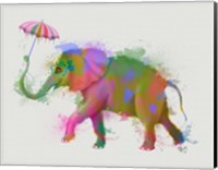 Framed Rainbow Splash Elephant
