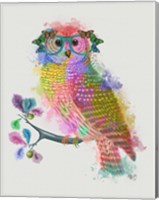 Framed Rainbow Splash Owl