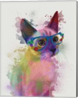 Framed Rainbow Splash Cat 2