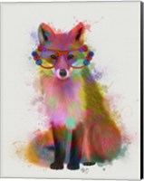 Framed Rainbow Splash Fox 2