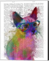 Framed Rainbow Splash Cat 2